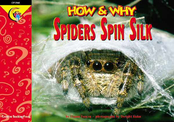 Spiders Spin Silk